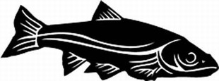 Sacramento Squaw Fish